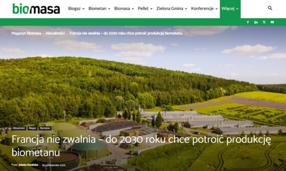 biomasa