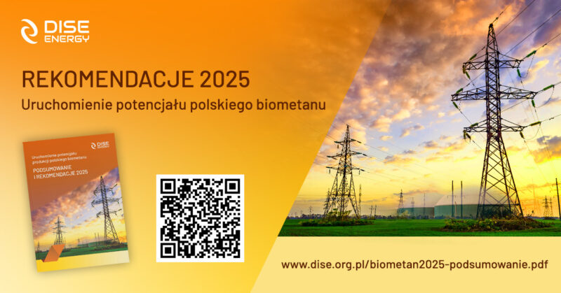 Rekomendacje 2025